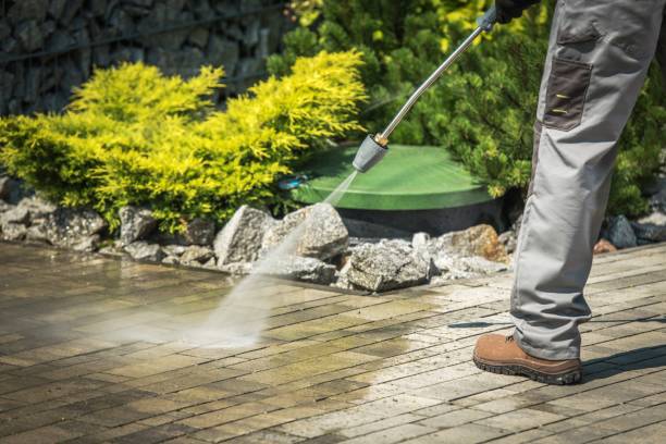 Boat and Dock Cleaning in Cape Coral, FL